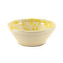 Lemon schizzato bowl